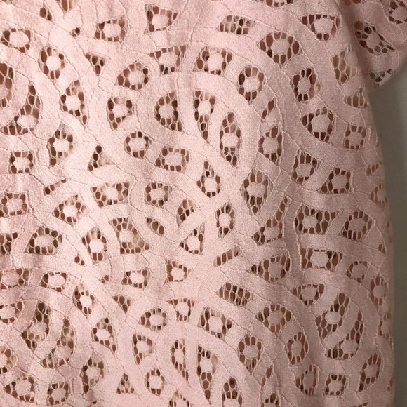 LOFT | Blush Pink Eyelet Short Sleeve Top - Picture 3 of 5